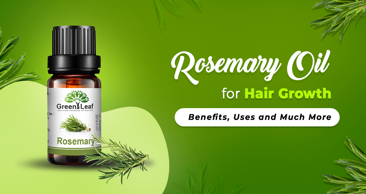 Rosemary Oil for Hair  What It Is Benefits with Hair Growth Uses and More